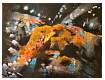 03 Tunnel 18 x 24 inches acrylic & fabric on canvas 2022 R.jpg